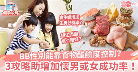 生仔生女機率|【生仔生女機率】留意酸鹼？要食咩？3個生仔生女秘。